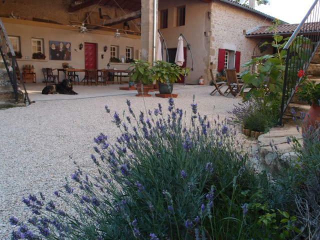 Ferme Robin Bed & Breakfast Marsaz Екстериор снимка